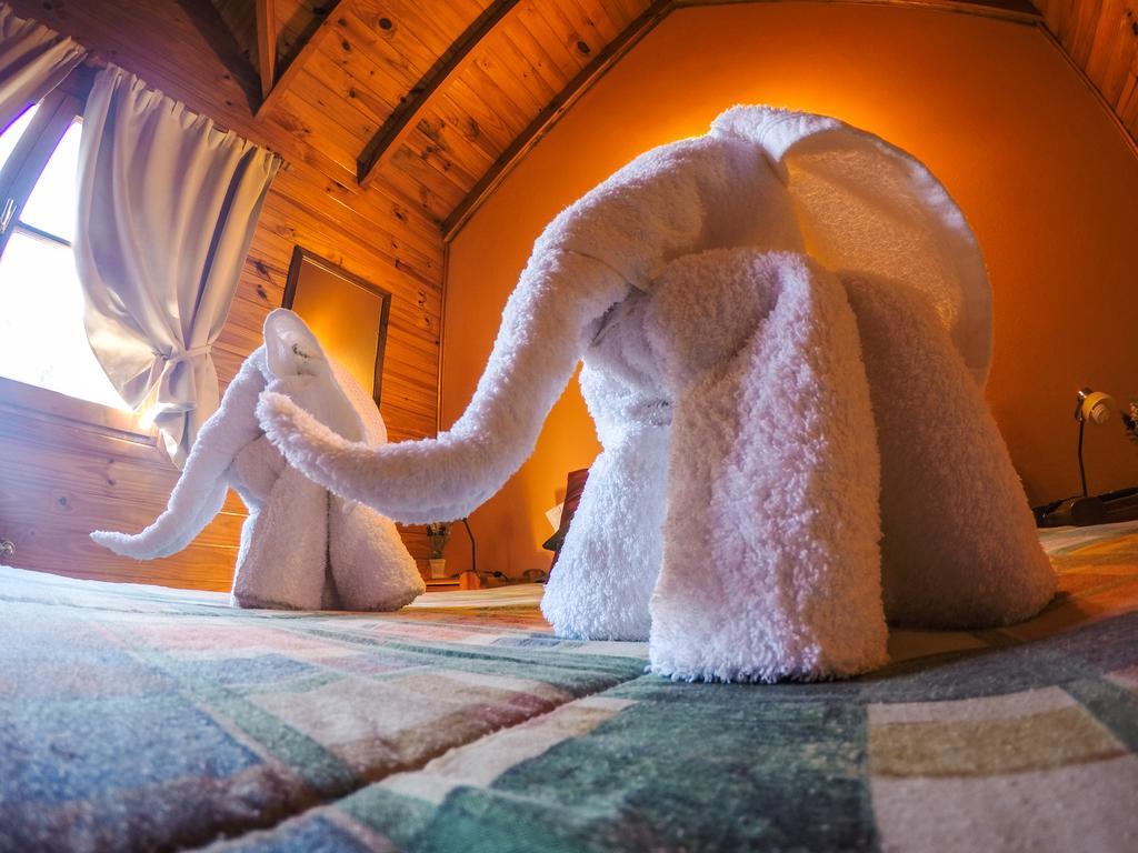 Cabanas De La Patagonia San Martín de los Andes Buitenkant foto